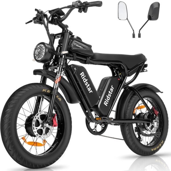 Electric bike Ridstar Q20 PRO, 52V (2000W Dual Motor), 40AH Battery ...