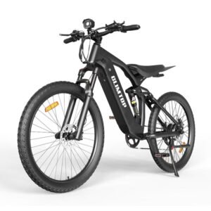 CLIMTOP q31 e-bike